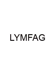 Love You Meaning From A Guy