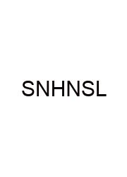 Silent Night Holy Night Spanish Lyrics