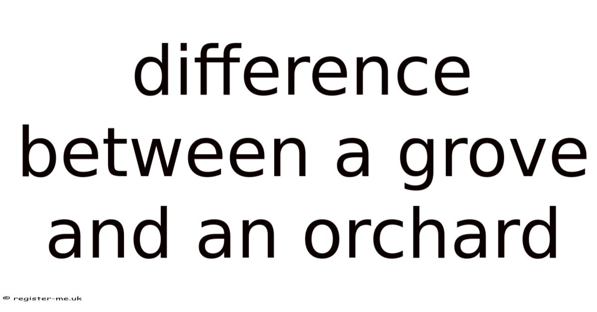 Difference Between A Grove And An Orchard