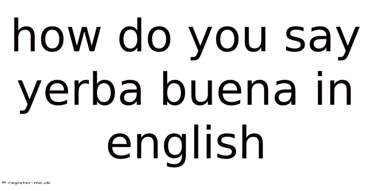 How Do You Say Yerba Buena In English