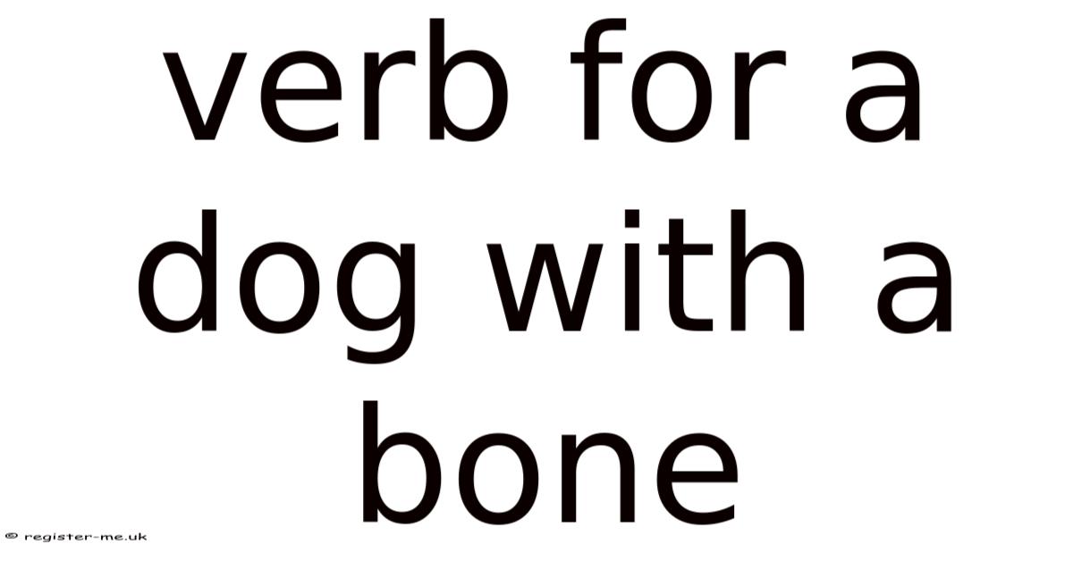 Verb For A Dog With A Bone