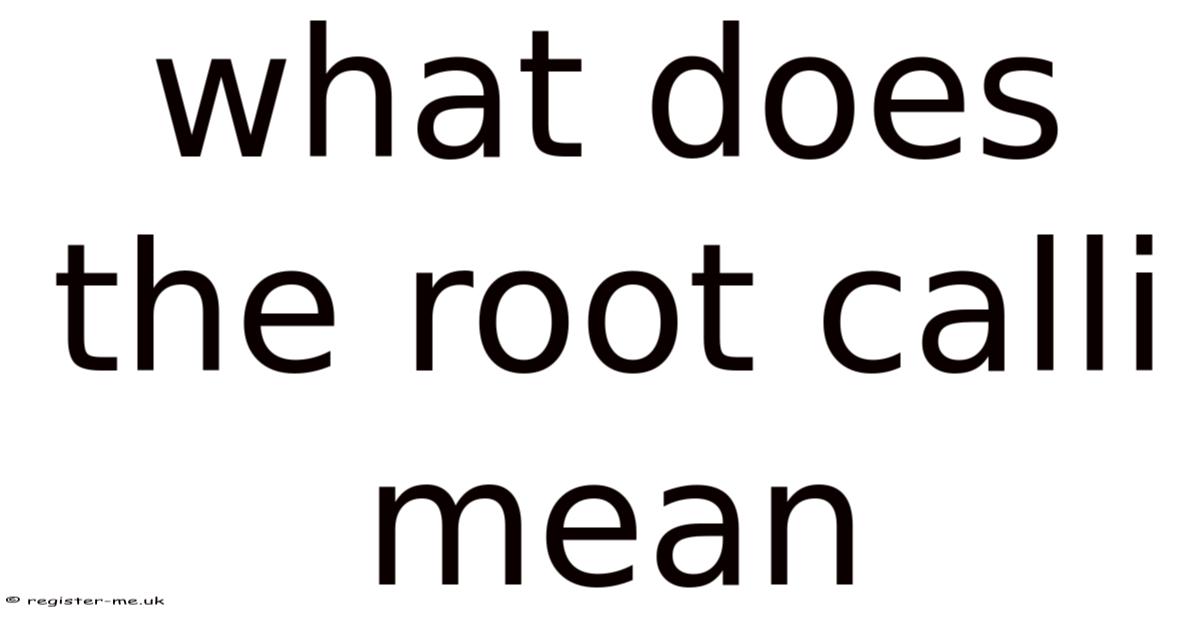 Root Calli What Does The Root Calli Mean